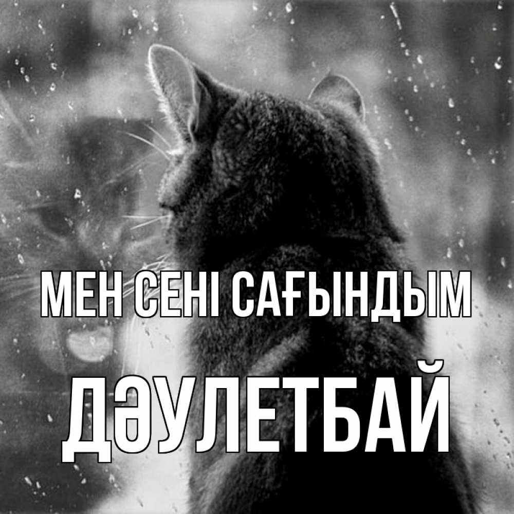 Күн сайын ашық хат с именем, Дәулетбай Мен сені сағындым скорее ко мне приходи 1 Онлайн тегін жүктеп алу тілектері бар керемет карта 