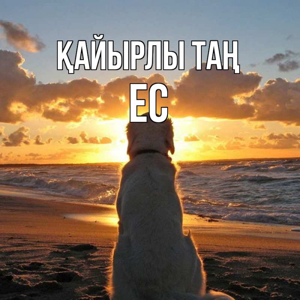 Күн сайын ашық хат с именем, Ес Қайырлы таң восход солнца Онлайн тегін жүктеп алу тілектері бар керемет карта 
