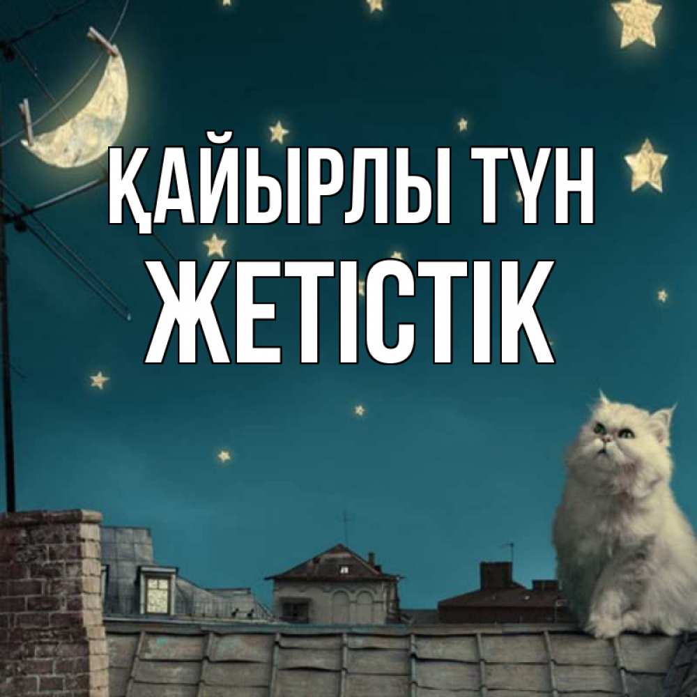 Күн сайын ашық хат с именем, Жетістік Қайырлы түн белый кот сидит на крыше Онлайн тегін жүктеп алу тілектері бар керемет карта 