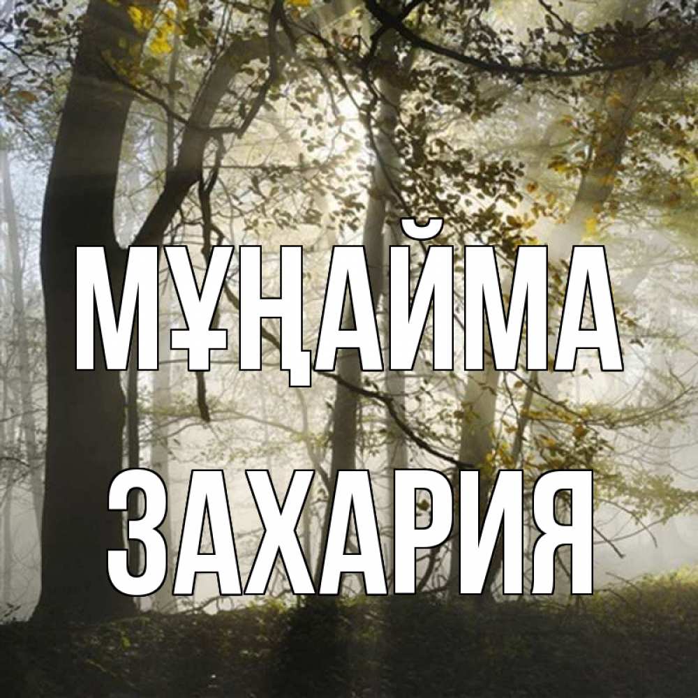 Күн сайын ашық хат с именем, Захария Мұңайма лес и свет Онлайн тегін жүктеп алу тілектері бар керемет карта 