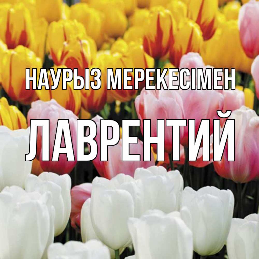 Күн сайын ашық хат с именем, Лаврентий Наурыз мерекесімен разноцветные цветы Онлайн тегін жүктеп алу тілектері бар керемет карта 