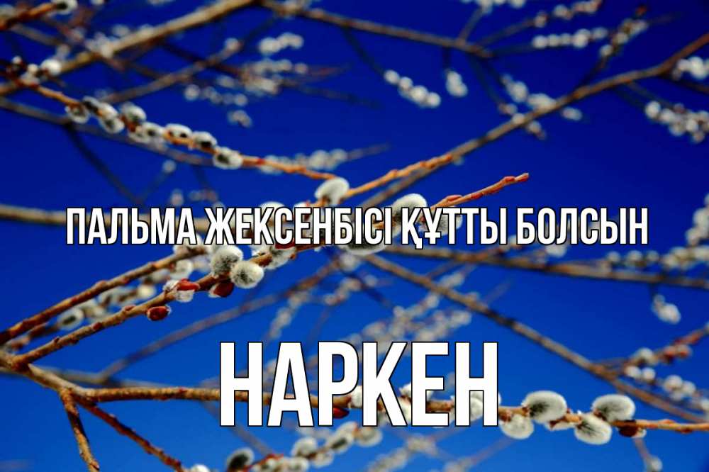 Күн сайын ашық хат с именем, Наркен Пальма жексенбісі құтты болсын верба Онлайн тегін жүктеп алу тілектері бар керемет карта 