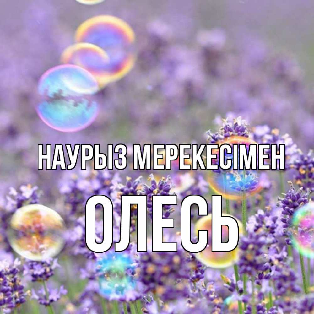 Күн сайын ашық хат с именем, Олесь Наурыз мерекесімен цветы Онлайн тегін жүктеп алу тілектері бар керемет карта 