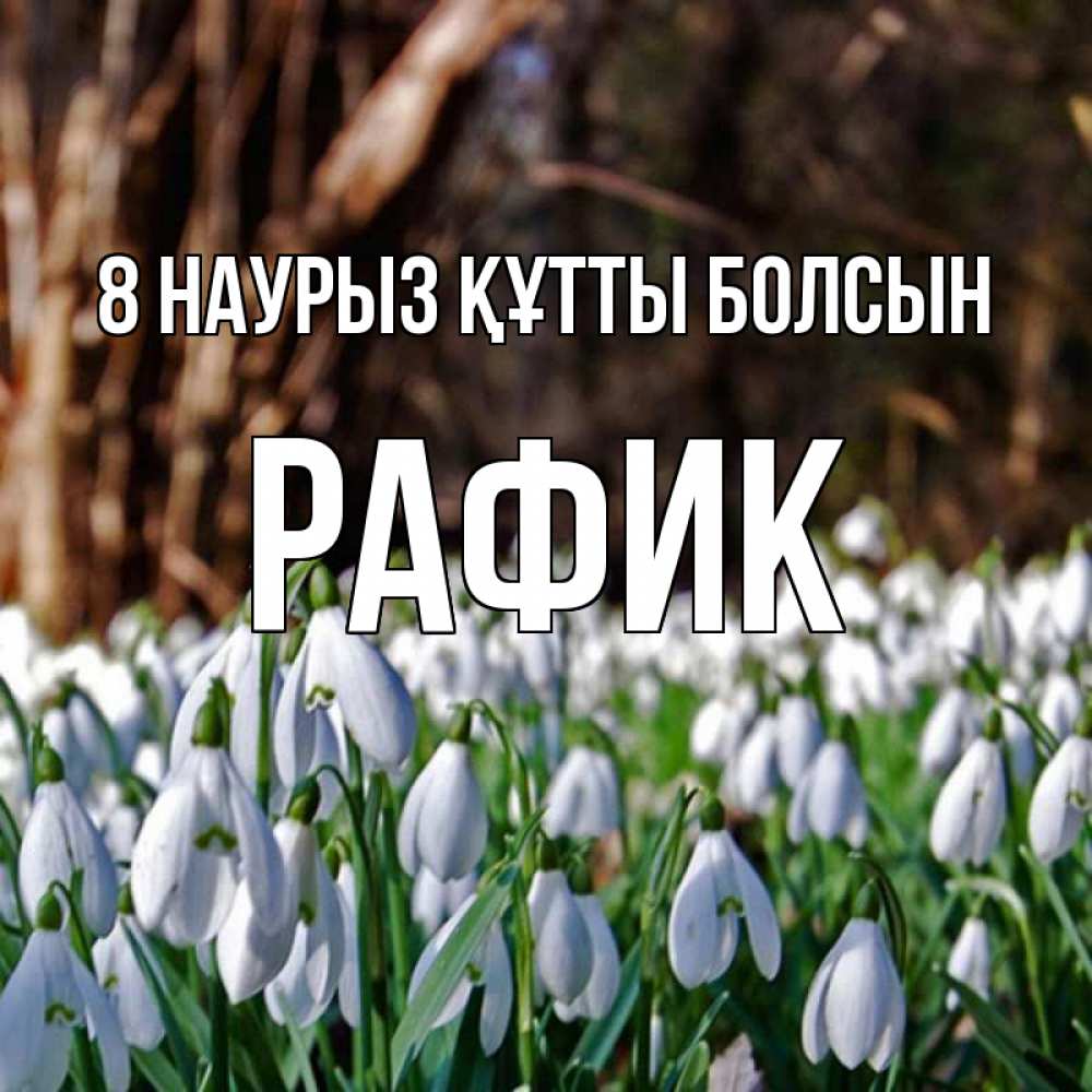 Күн сайын ашық хат с именем, РАФИК 8 наурыз құтты болсын с подснежниками 1 Онлайн тегін жүктеп алу тілектері бар керемет карта 