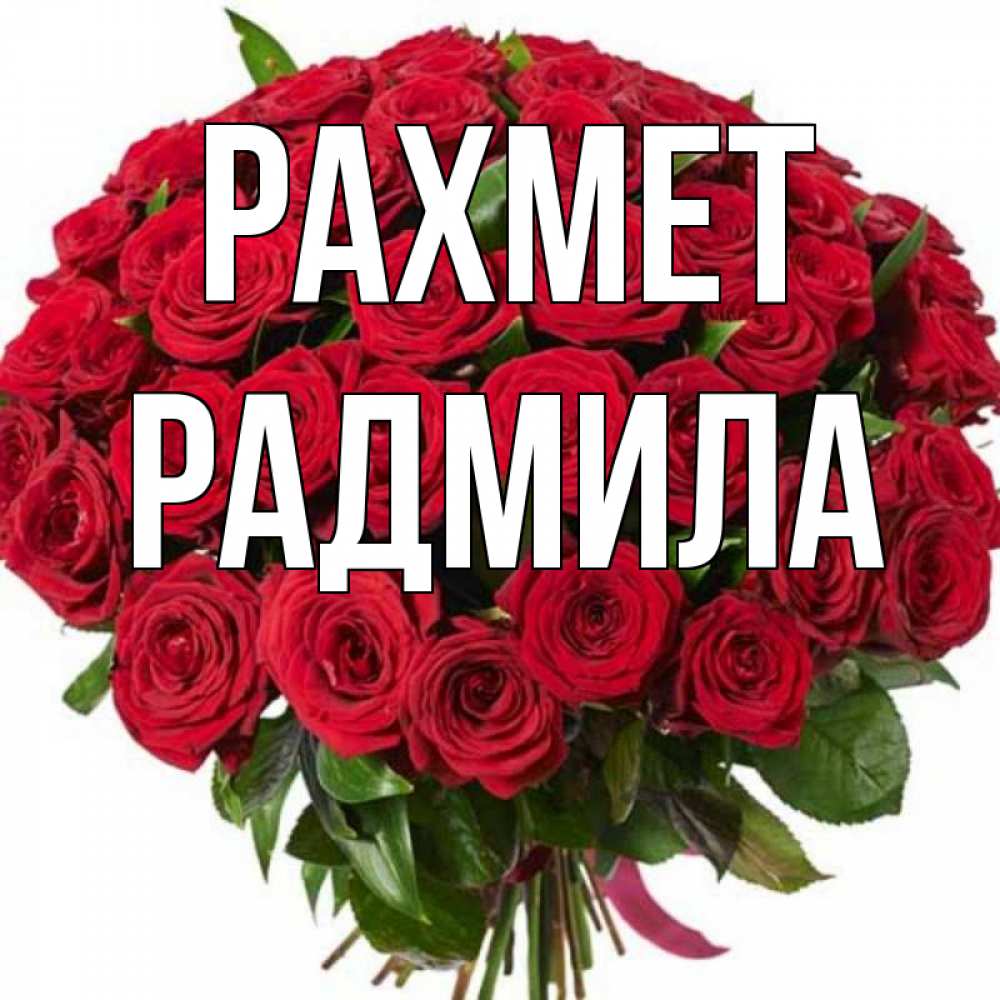 Күн сайын ашық хат с именем, Радмила рахмет букет красных роз Онлайн тегін жүктеп алу тілектері бар керемет карта 