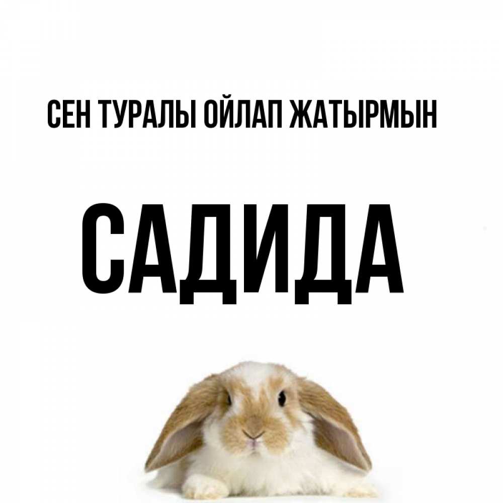 Күн сайын ашық хат с именем, САДИДА Сен туралы ойлап жатырмын подписать своими руками онлайн Онлайн тегін жүктеп алу тілектері бар керемет карта 