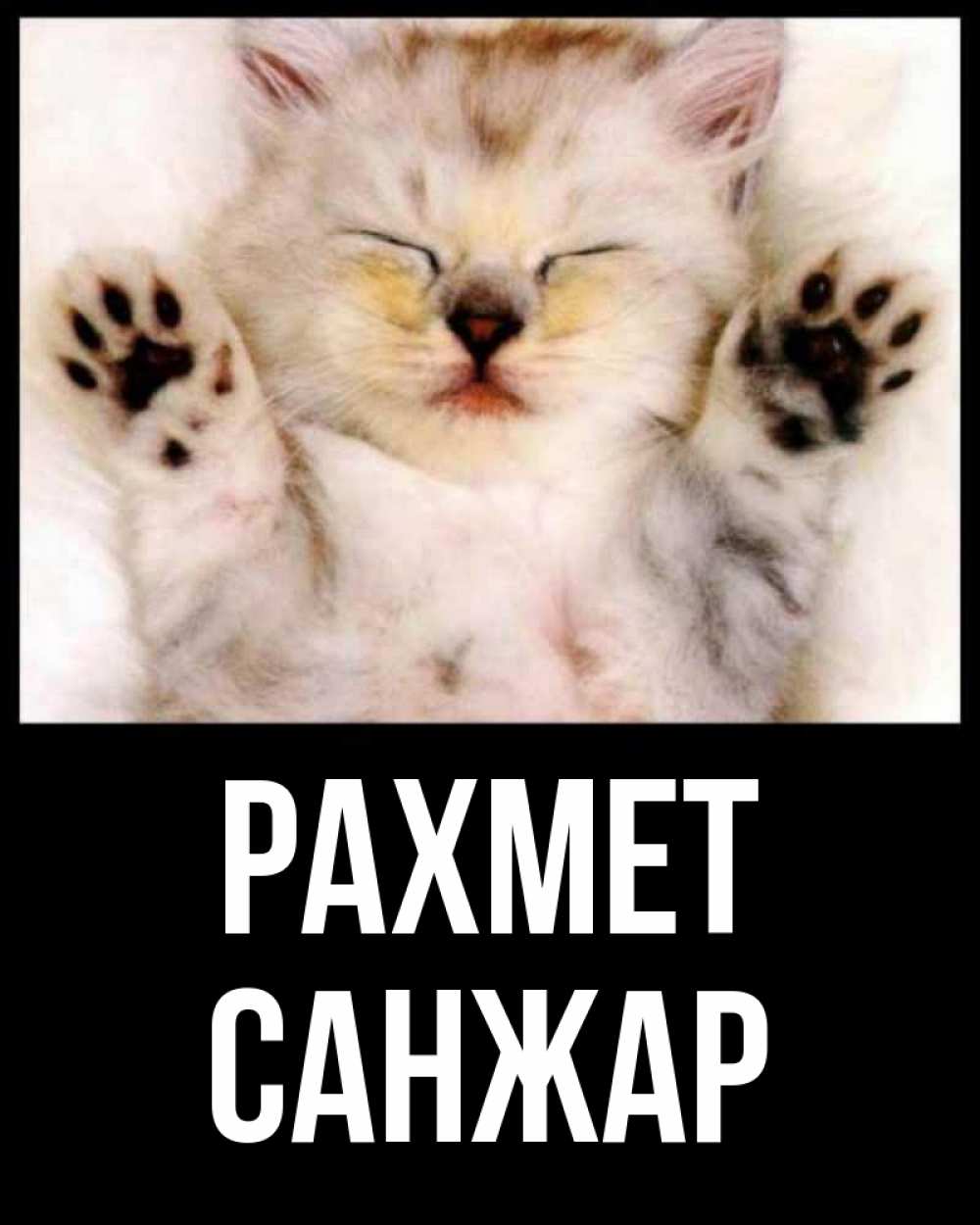 Күн сайын ашық хат с именем, САНЖАР рахмет маленький котенок Онлайн тегін жүктеп алу тілектері бар керемет карта 
