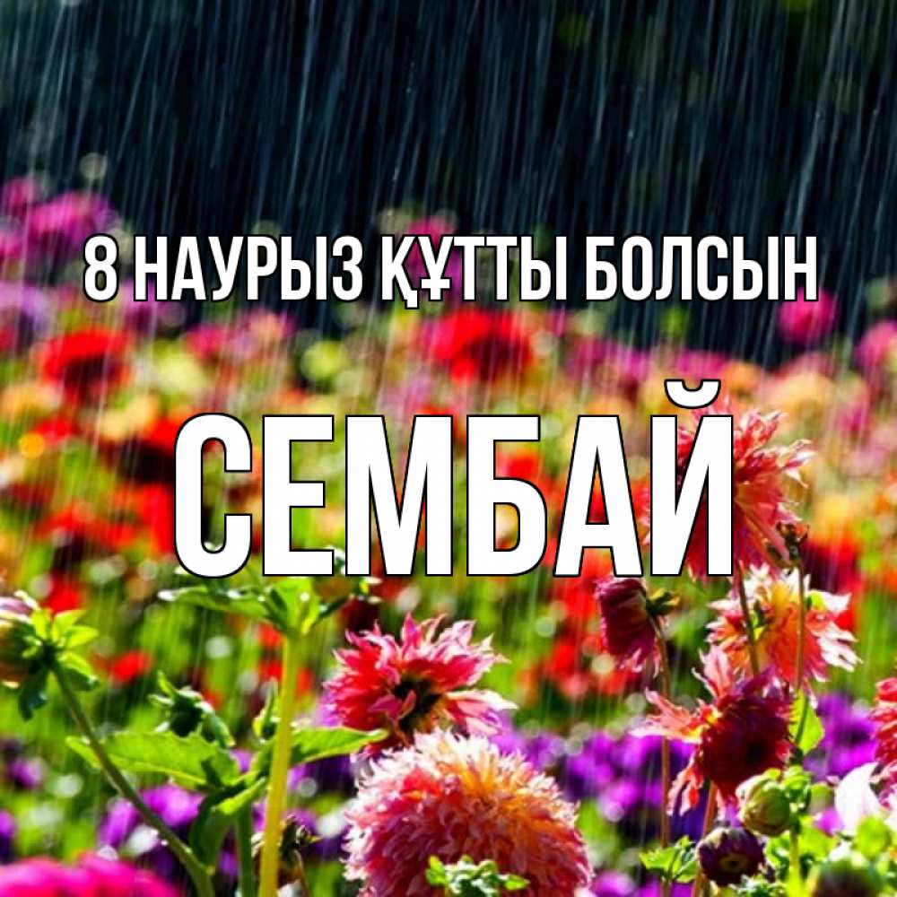 Күн сайын ашық хат с именем, СЕМБАЙ 8 наурыз құтты болсын цветы под дождиком к международному женскому дню Онлайн тегін жүктеп алу тілектері бар керемет карта 