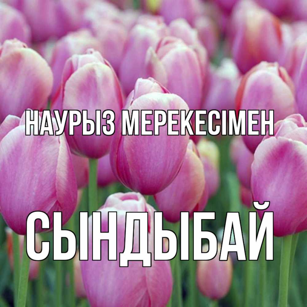 Күн сайын ашық хат с именем, СЫНДЫБАЙ Наурыз мерекесімен праздник весны наурыз 69 Онлайн тегін жүктеп алу тілектері бар керемет карта 