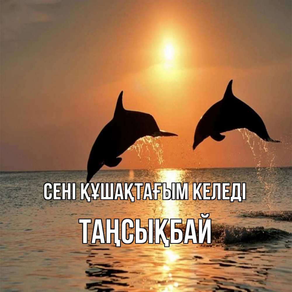 Күн сайын ашық хат с именем, ТАҢСЫҚБАЙ сені құшақтағым келеді рыбы на закате Онлайн тегін жүктеп алу тілектері бар керемет карта 