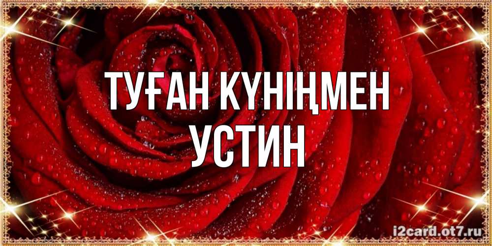 Күн сайын ашық хат с именем, Устин Туған күніңмен роса на розе блестящая в лучах солнца Онлайн тегін жүктеп алу тілектері бар керемет карта 