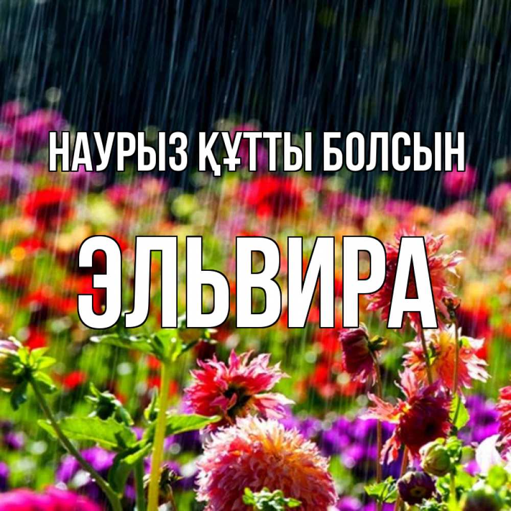 Күн сайын ашық хат с именем, Эльвира Наурыз құтты болсын цветы под дождиком к наурызу Онлайн тегін жүктеп алу тілектері бар керемет карта 