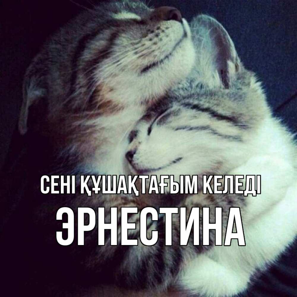 Күн сайын ашық хат с именем, Эрнестина сені құшақтағым келеді полосатики Онлайн тегін жүктеп алу тілектері бар керемет карта 