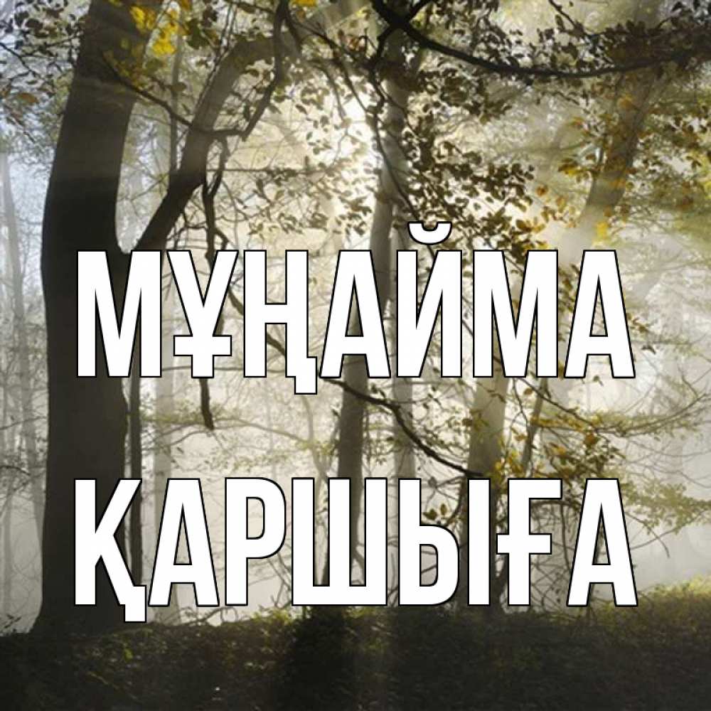 Күн сайын ашық хат с именем, Қаршыға Мұңайма лес и свет Онлайн тегін жүктеп алу тілектері бар керемет карта 