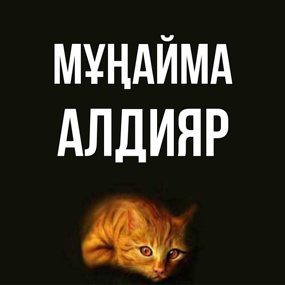 Күн сайын ашық хат с именем, Алдияр Мұңайма лежащий кот в темноте Онлайн тегін жүктеп алу тілектері бар керемет карта 