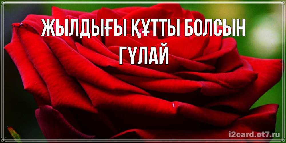 Күн сайын ашық хат с именем, ГҮЛАЙ Жылдығы құтты болсын розочка очень красивая Онлайн тегін жүктеп алу тілектері бар керемет карта 