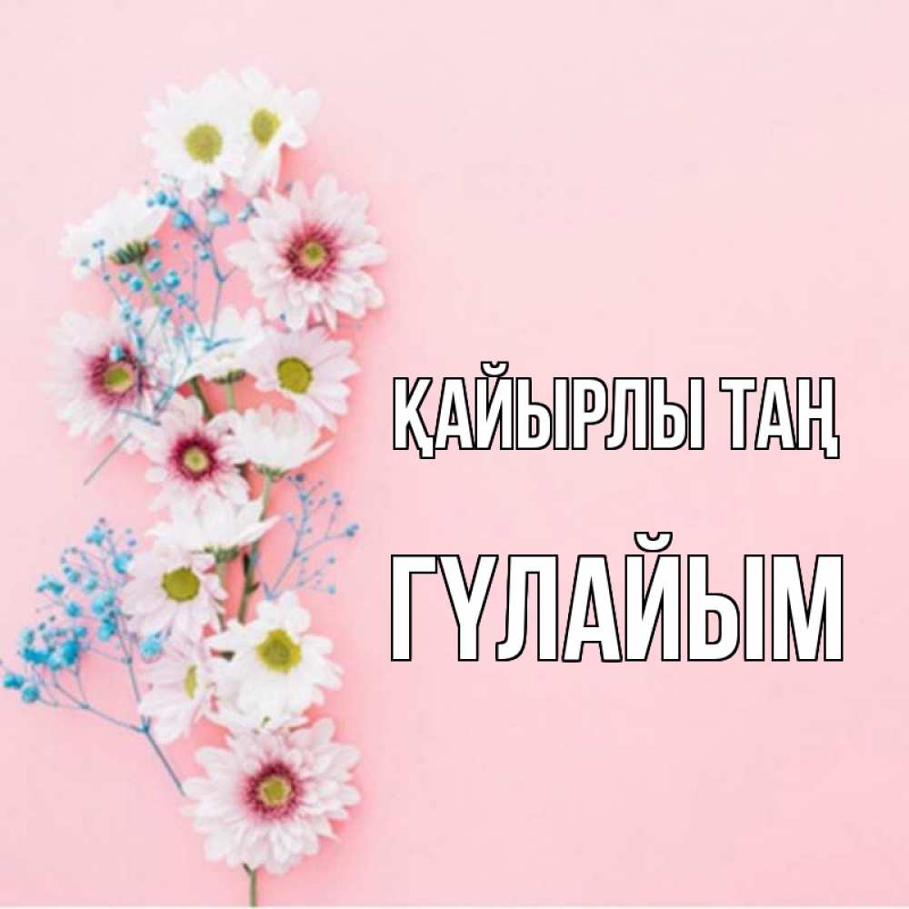 Күн сайын ашық хат с именем, ГҮЛАЙЫМ Қайырлы таң цветы с подписью Онлайн тегін жүктеп алу тілектері бар керемет карта 