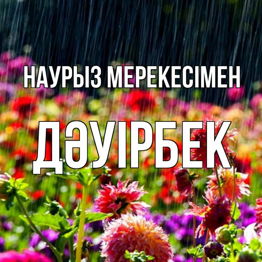 Күн сайын ашық хат с именем, Дәуірбек Наурыз мерекесімен цветы под дождиком к международному женскому дню Онлайн тегін жүктеп алу тілектері бар керемет карта 