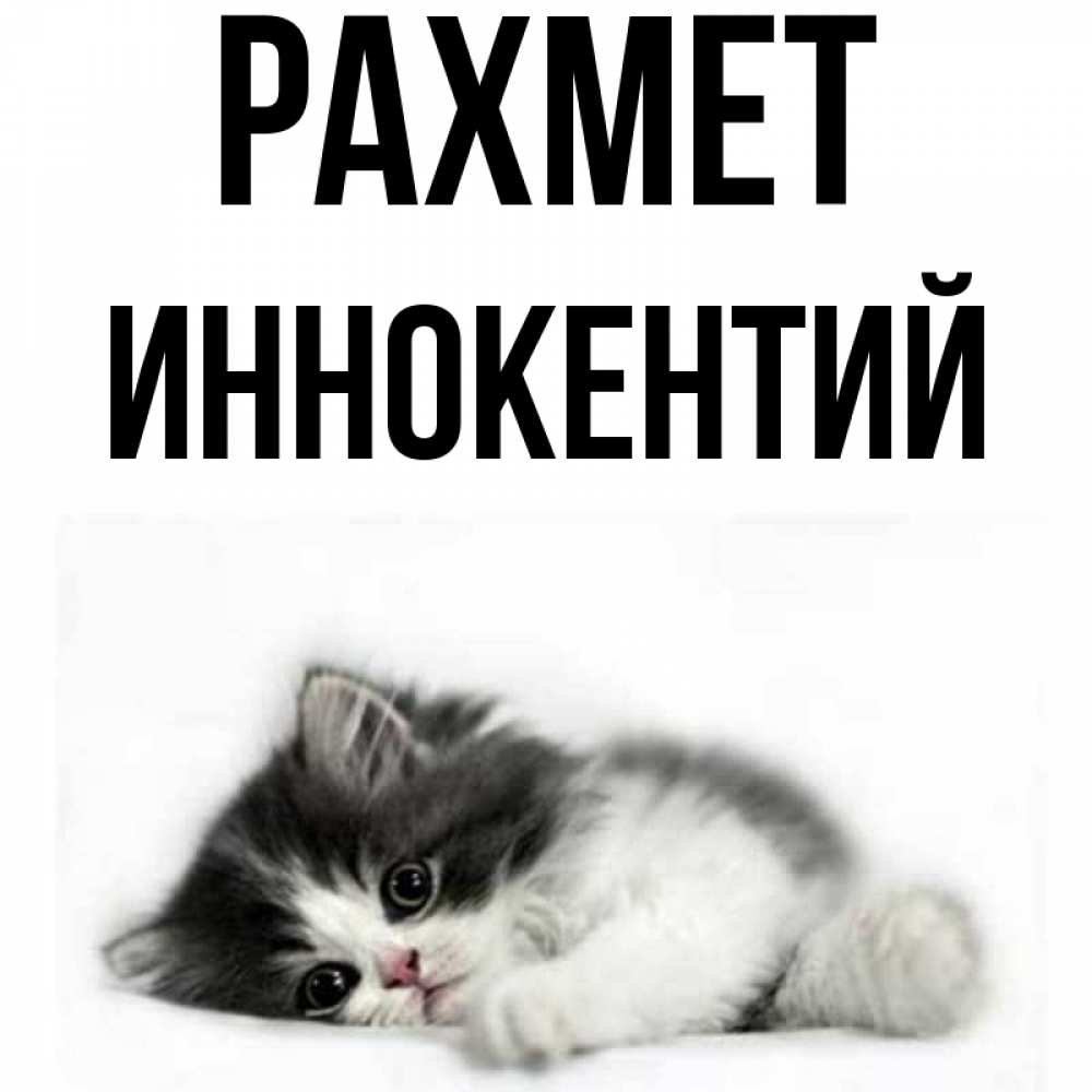Күн сайын ашық хат с именем, Иннокентий рахмет черный и белый кот Онлайн тегін жүктеп алу тілектері бар керемет карта 