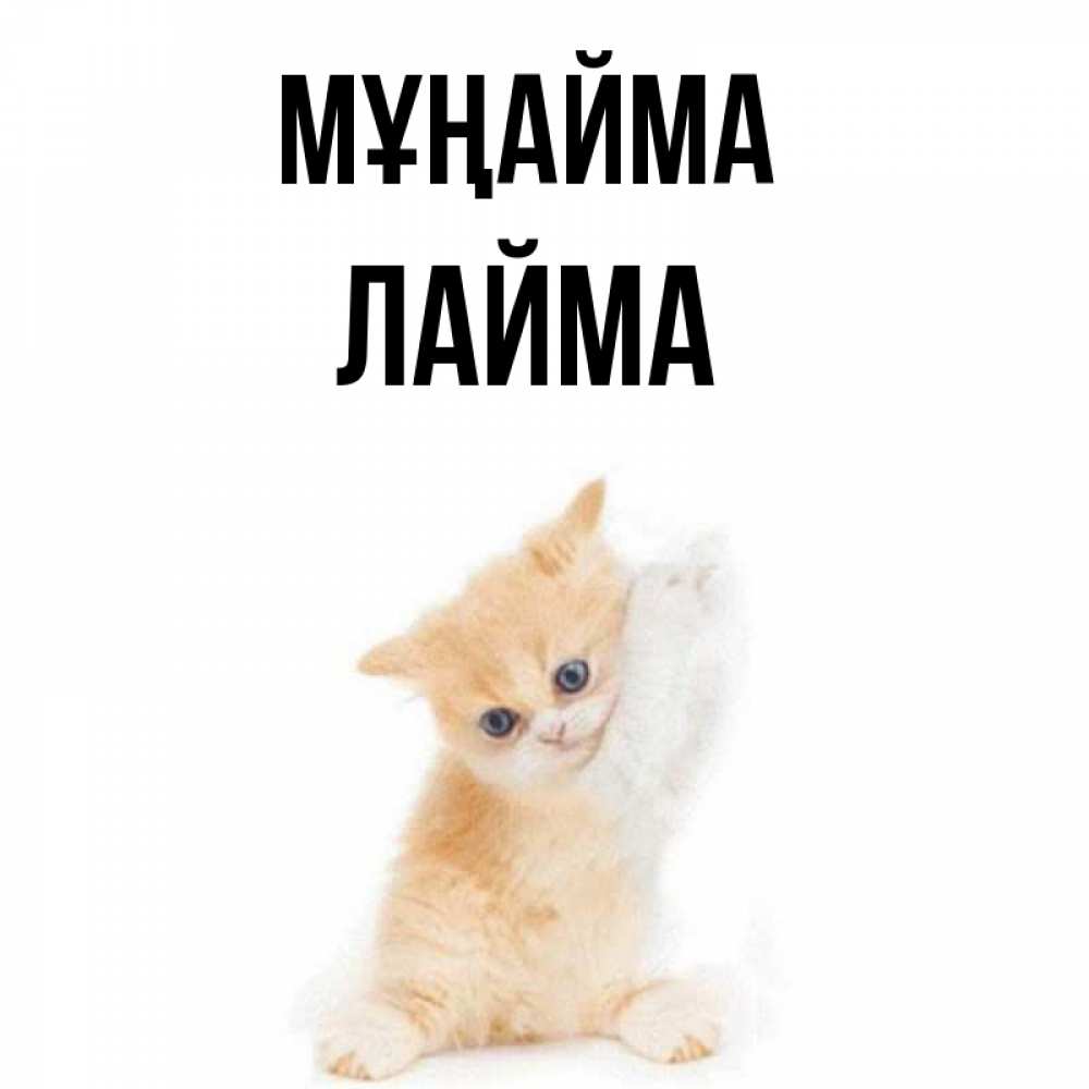 Күн сайын ашық хат с именем, Лайма Мұңайма просящий кот Онлайн тегін жүктеп алу тілектері бар керемет карта 