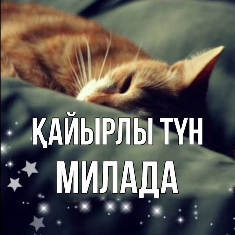 Күн сайын ашық хат с именем, Милада Қайырлы түн кроватка Онлайн тегін жүктеп алу тілектері бар керемет карта 