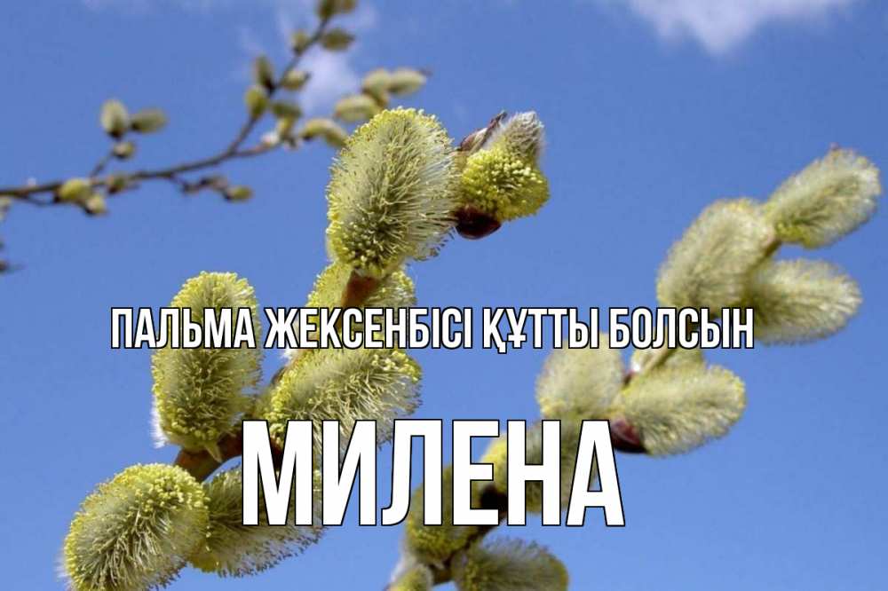 Күн сайын ашық хат с именем, Милена Пальма жексенбісі құтты болсын верба Онлайн тегін жүктеп алу тілектері бар керемет карта 