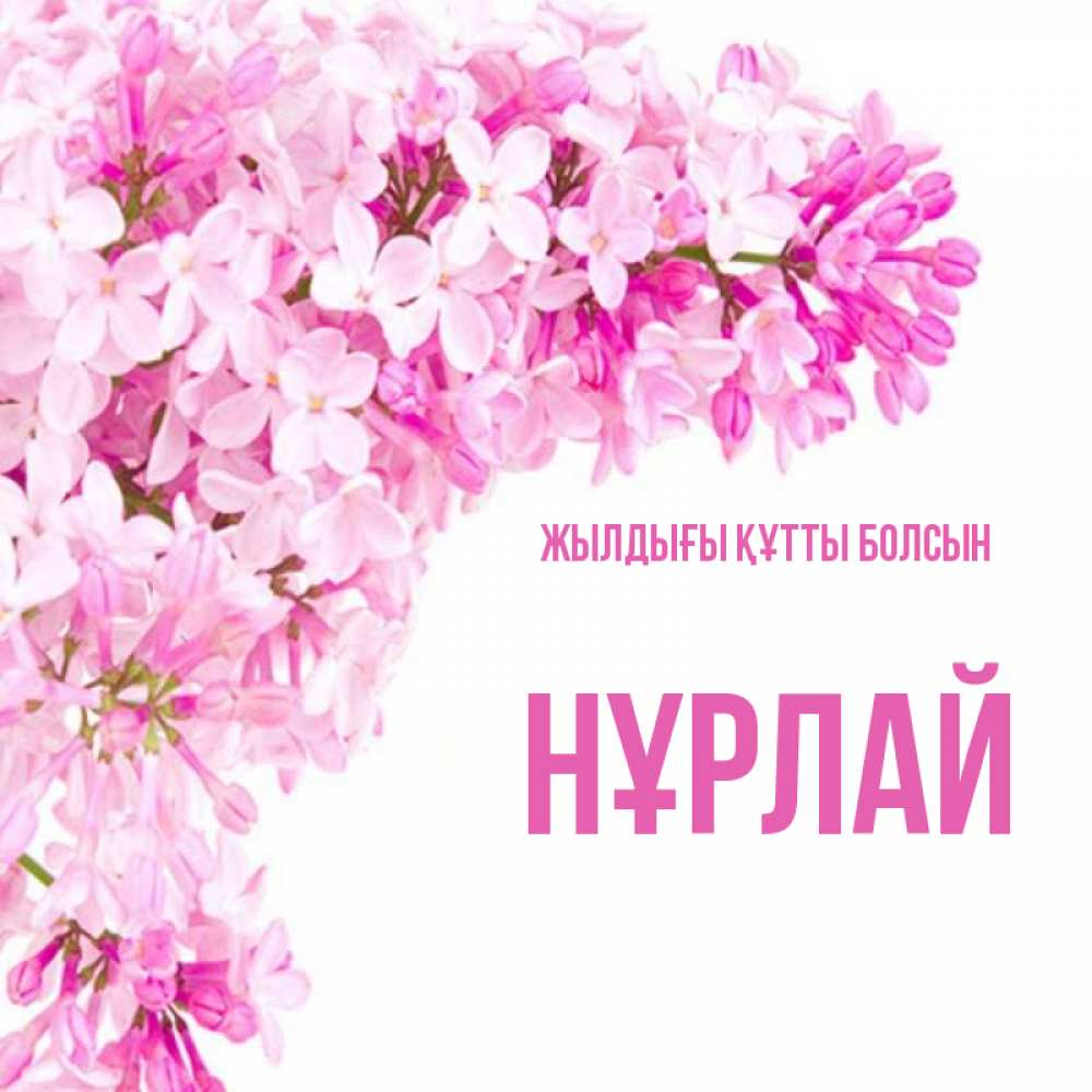 Күн сайын ашық хат с именем, НҰРЛАЙ Жылдығы құтты болсын Сирень на белом фоне Онлайн тегін жүктеп алу тілектері бар керемет карта 
