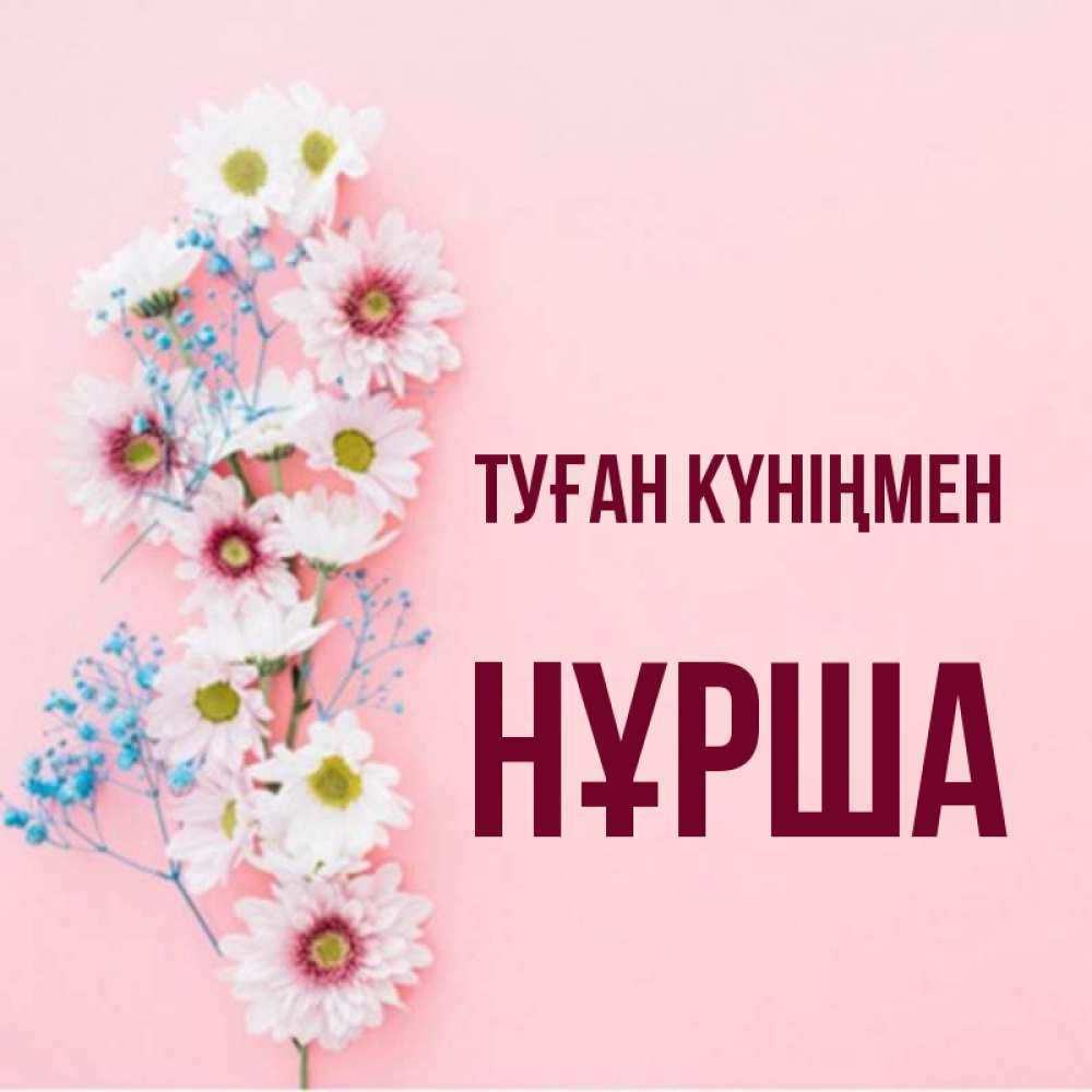 Күн сайын ашық хат с именем, НҰРША Туған күніңмен Родная моя с днем рождения тебя картинка с цветами белыми и голубыми Онлайн тегін жүктеп алу тілектері бар керемет карта 
