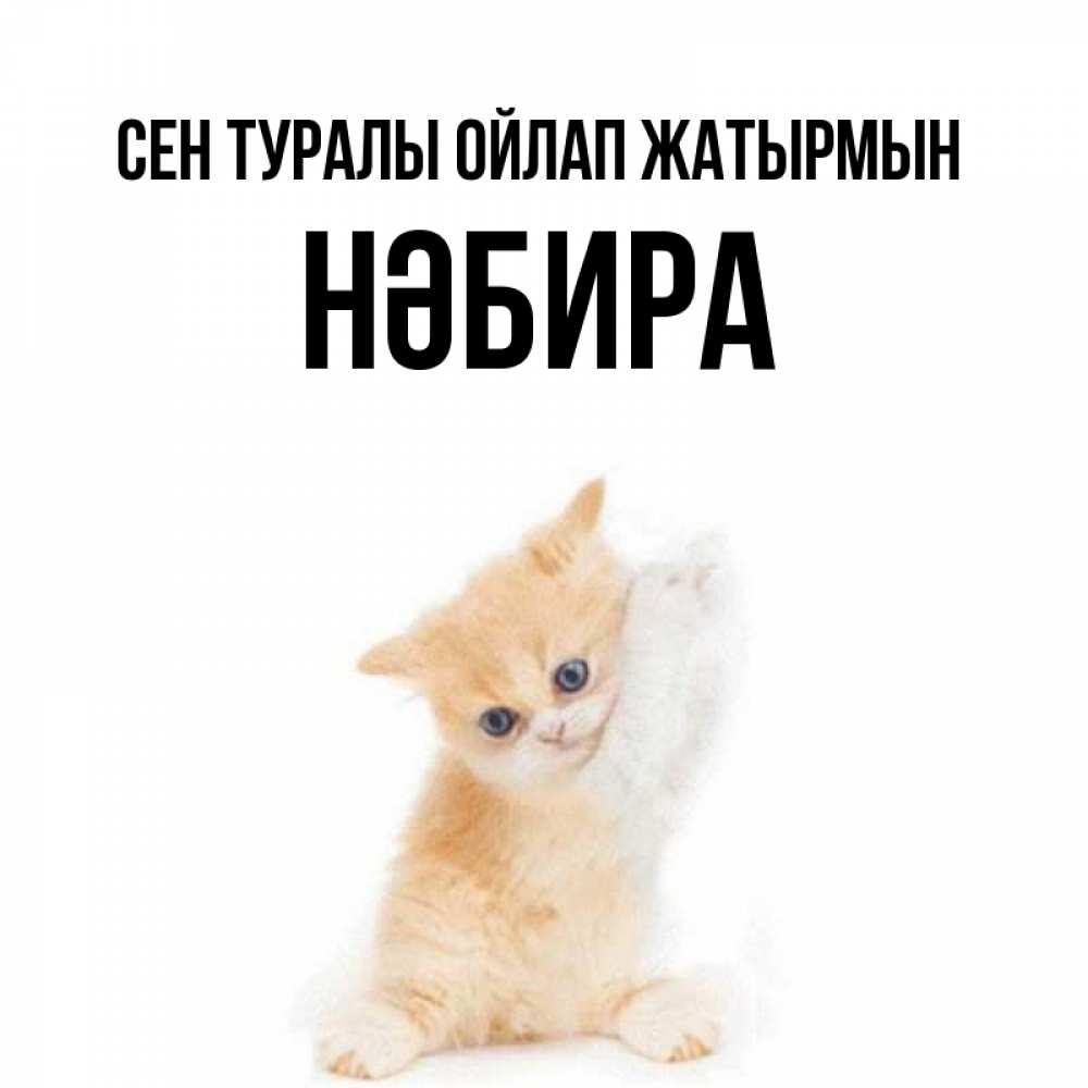 Күн сайын ашық хат с именем, НӘБИРА Сен туралы ойлап жатырмын зверушки и милота Онлайн тегін жүктеп алу тілектері бар керемет карта 