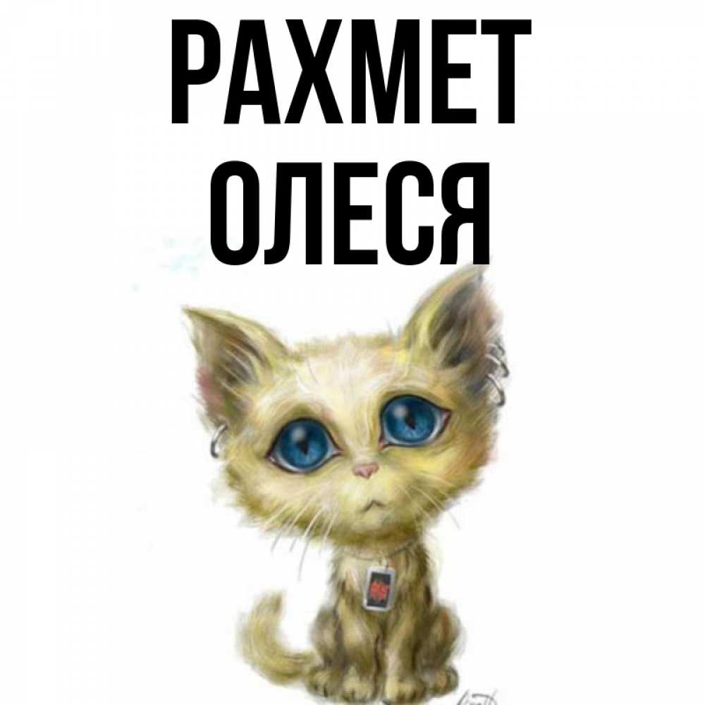 Күн сайын ашық хат с именем, Олеся рахмет рисованный кот благодарит вас Онлайн тегін жүктеп алу тілектері бар керемет карта 
