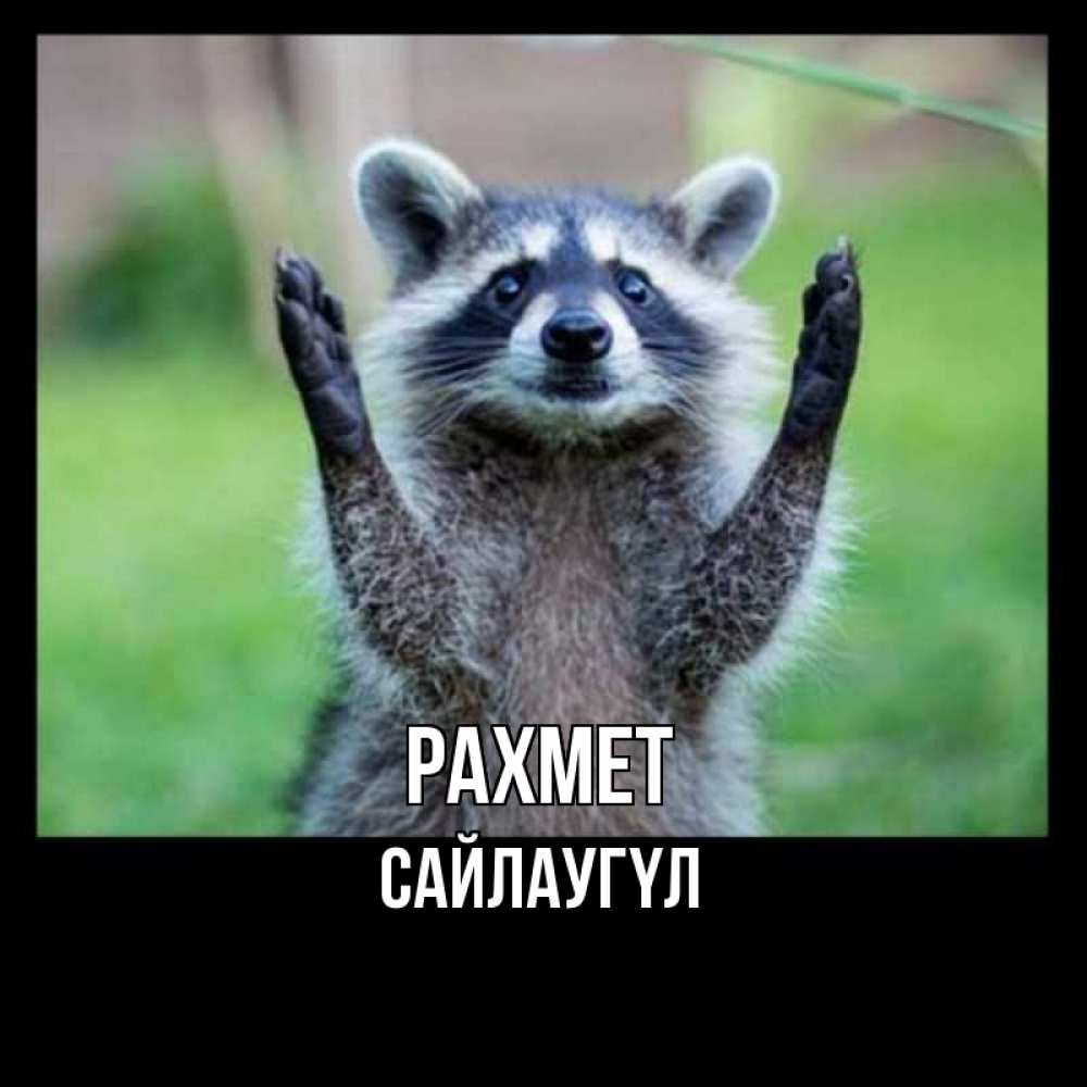 Күн сайын ашық хат с именем, САЙЛАУГҮЛ рахмет милые животные Онлайн тегін жүктеп алу тілектері бар керемет карта 