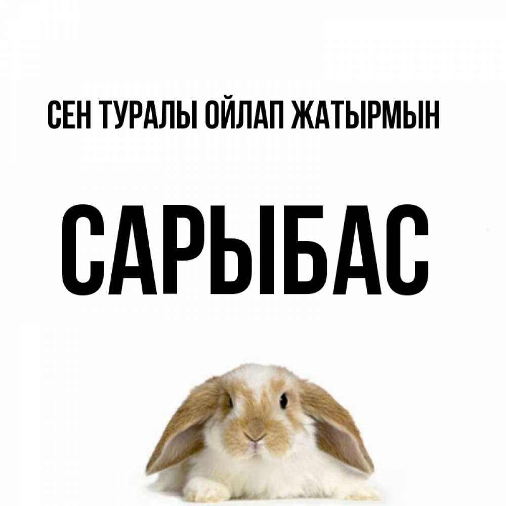 Күн сайын ашық хат с именем, САРЫБАС Сен туралы ойлап жатырмын подписать своими руками онлайн Онлайн тегін жүктеп алу тілектері бар керемет карта 