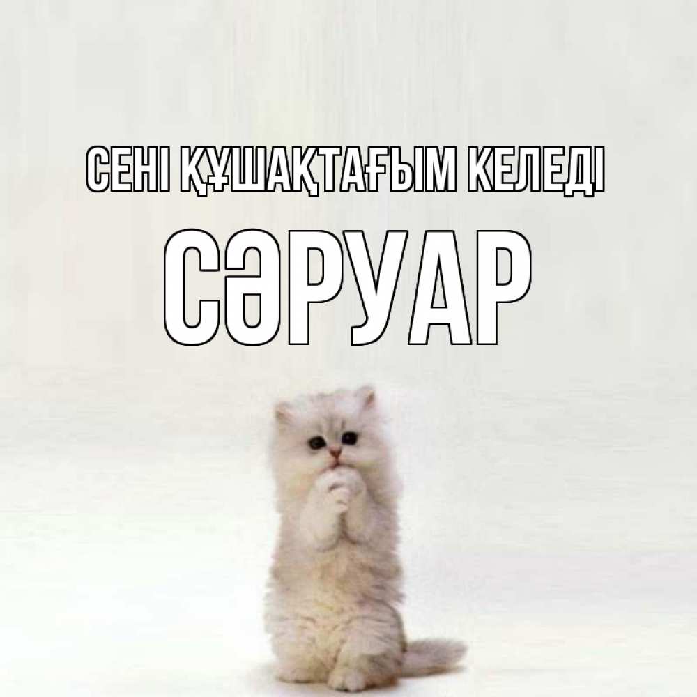 Күн сайын ашық хат с именем, СӘРУАР сені құшақтағым келеді открытки с креативными подписями Онлайн тегін жүктеп алу тілектері бар керемет карта 