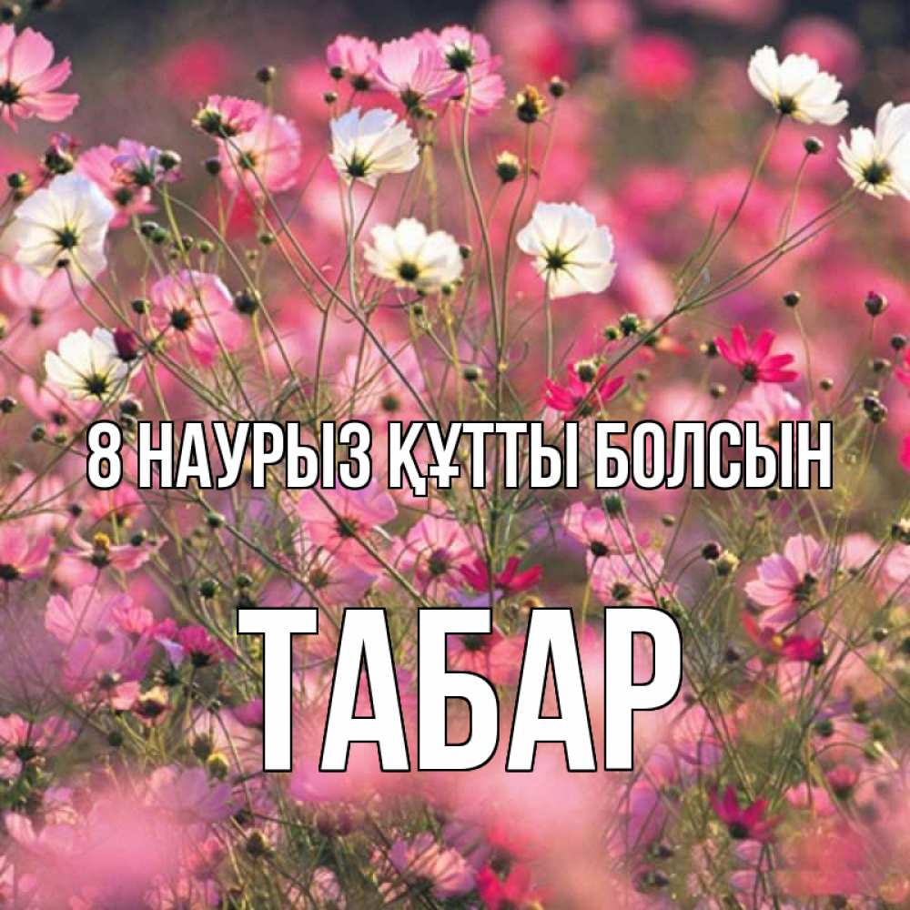 Күн сайын ашық хат с именем, ТАБАР 8 наурыз құтты болсын красиво 1 Онлайн тегін жүктеп алу тілектері бар керемет карта 