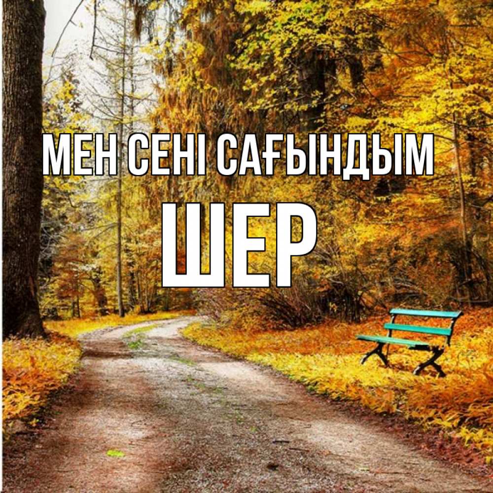 Күн сайын ашық хат с именем, ШЕР Мен сені сағындым зеленая лавочка и осенний лес Онлайн тегін жүктеп алу тілектері бар керемет карта 