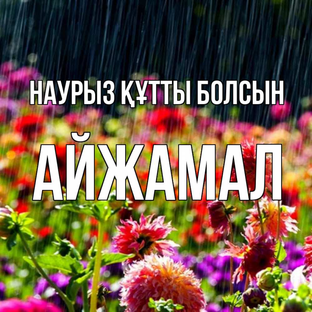Күн сайын ашық хат с именем, АЙЖАМАЛ Наурыз құтты болсын цветы под дождиком к наурызу Онлайн тегін жүктеп алу тілектері бар керемет карта 
