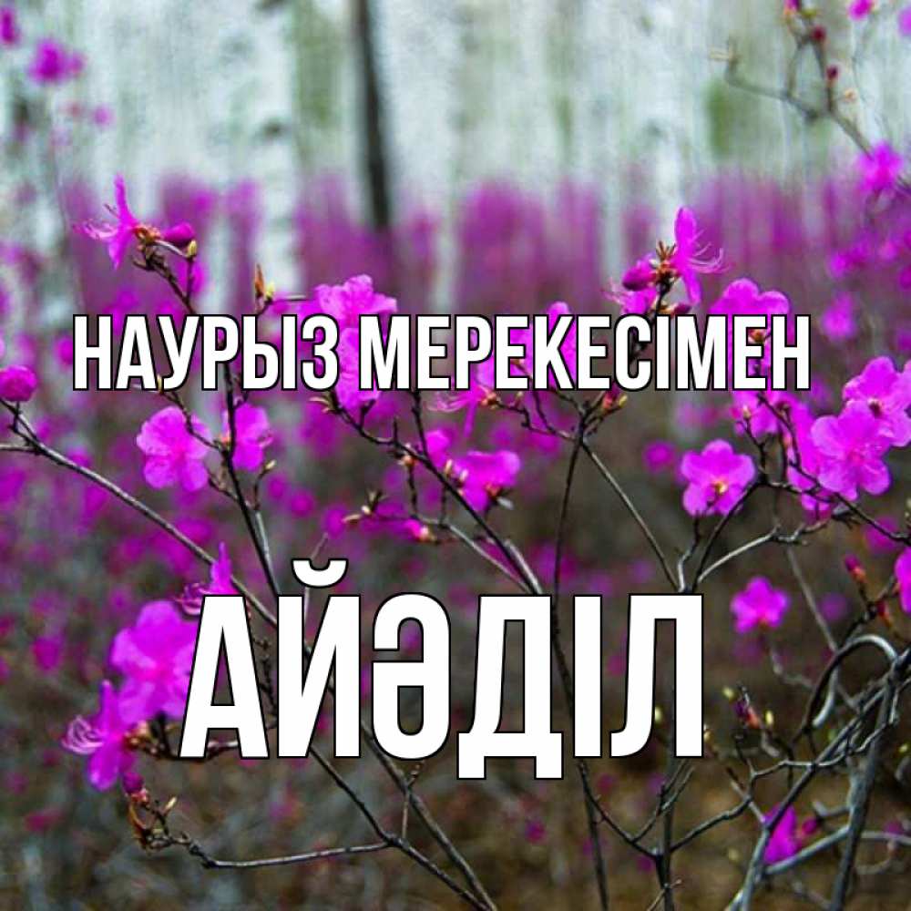 Күн сайын ашық хат с именем, Айәділ Наурыз мерекесімен дикие цветы Онлайн тегін жүктеп алу тілектері бар керемет карта 