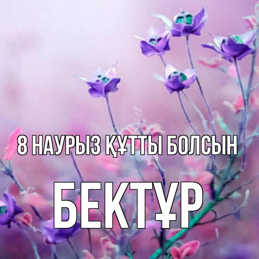Күн сайын ашық хат с именем, Бектұр 8 наурыз құтты болсын международный женский день 2 Онлайн тегін жүктеп алу тілектері бар керемет карта 