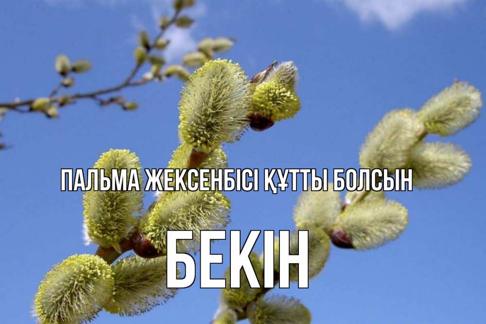 Күн сайын ашық хат с именем, Бекін Пальма жексенбісі құтты болсын верба Онлайн тегін жүктеп алу тілектері бар керемет карта 