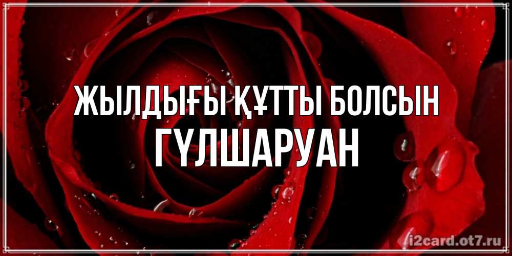 Күн сайын ашық хат с именем, ГҮЛШАРУАН Жылдығы құтты болсын крупная бордовая роза Онлайн тегін жүктеп алу тілектері бар керемет карта 