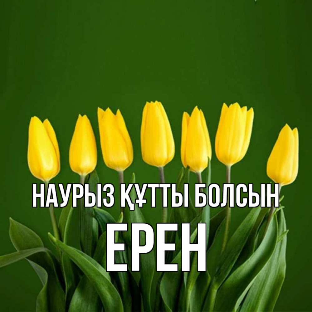 Күн сайын ашық хат с именем, Ерен Наурыз құтты болсын желтого цвета 3 Онлайн тегін жүктеп алу тілектері бар керемет карта 