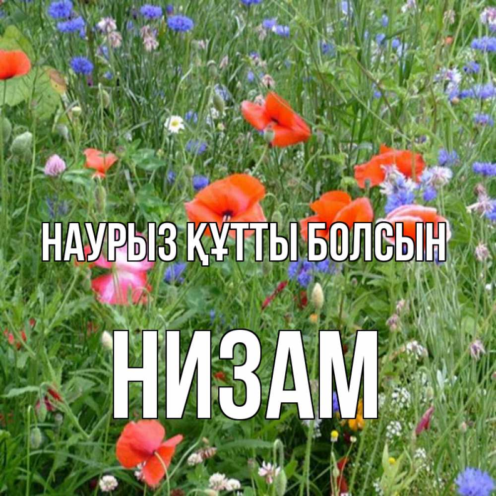 Күн сайын ашық хат с именем, НИЗАМ Наурыз құтты болсын наурыз  4 Онлайн тегін жүктеп алу тілектері бар керемет карта 
