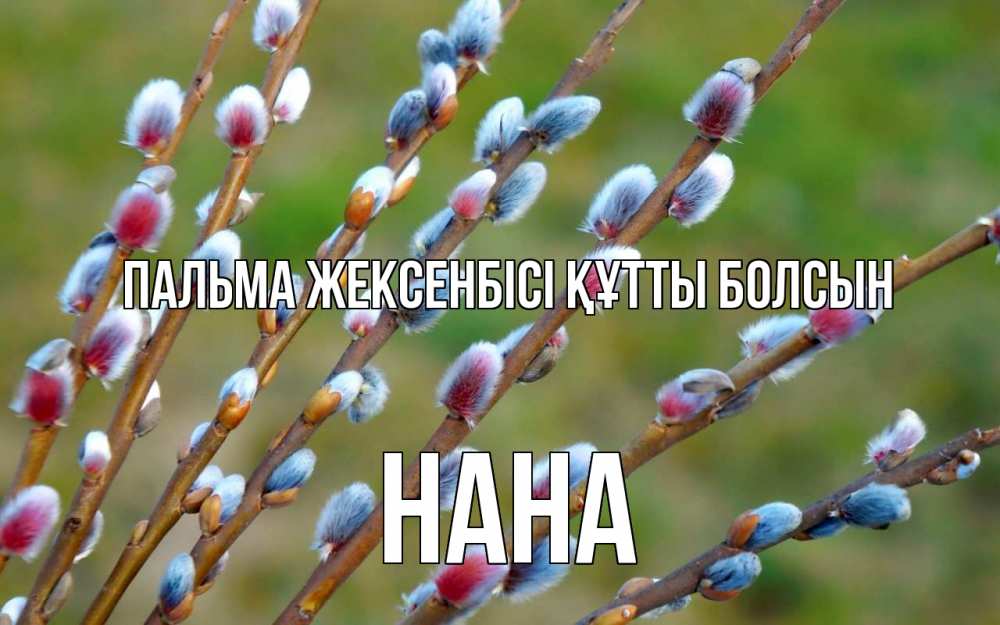 Күн сайын ашық хат с именем, Нана Пальма жексенбісі құтты болсын верба Онлайн тегін жүктеп алу тілектері бар керемет карта 