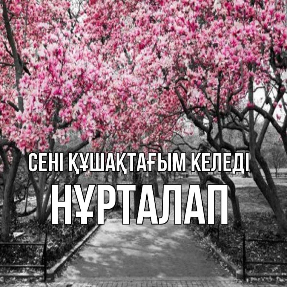 Күн сайын ашық хат с именем, НҰРТАЛАП сені құшақтағым келеді обработанное фото Онлайн тегін жүктеп алу тілектері бар керемет карта 