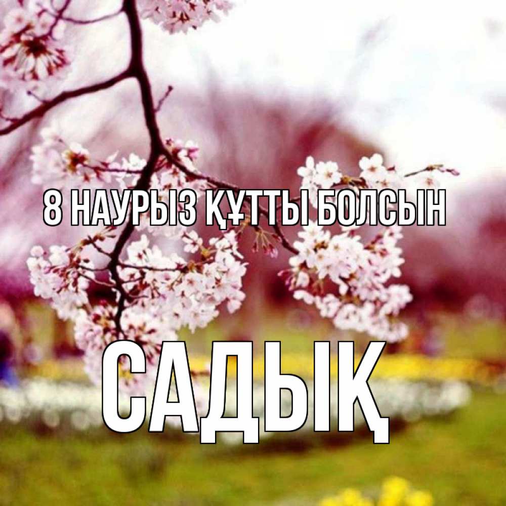 Күн сайын ашық хат с именем, САДЫҚ 8 наурыз құтты болсын яблоня Онлайн тегін жүктеп алу тілектері бар керемет карта 