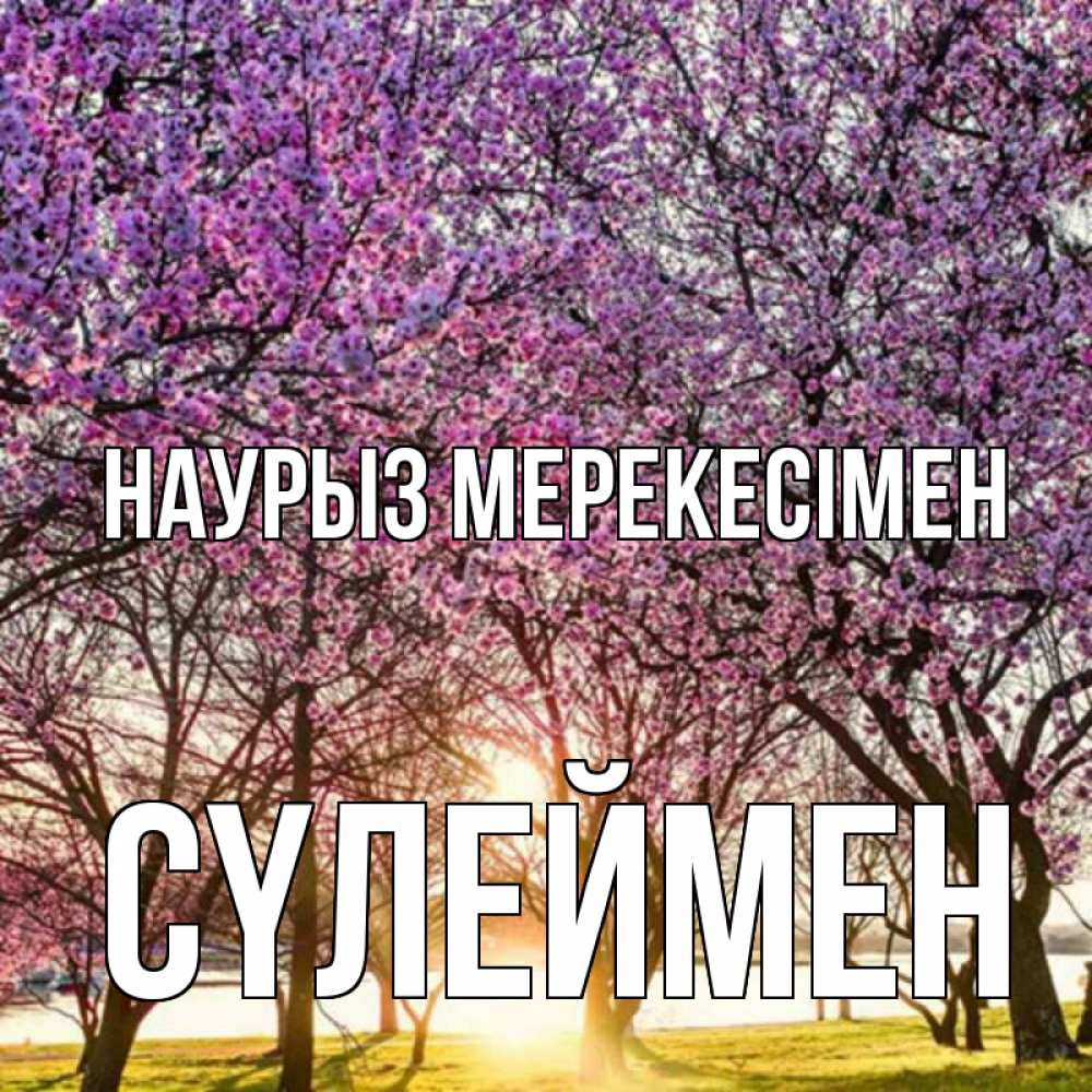 Күн сайын ашық хат с именем, СҮЛЕЙМЕН Наурыз мерекесімен праздник весны наурыз Онлайн тегін жүктеп алу тілектері бар керемет карта 