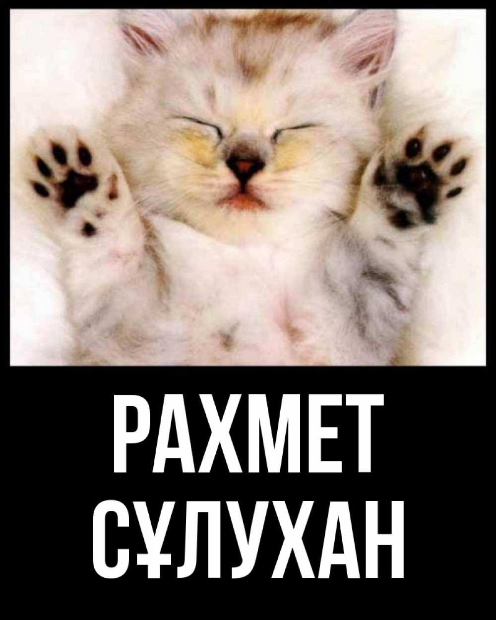 Күн сайын ашық хат с именем, СҰЛУХАН рахмет маленький котенок Онлайн тегін жүктеп алу тілектері бар керемет карта 