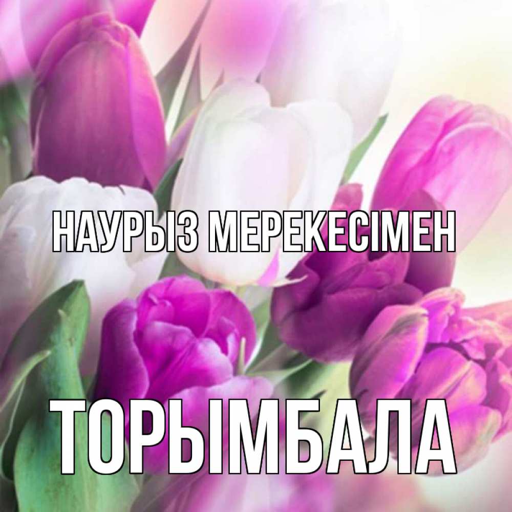 Күн сайын ашық хат с именем, ТОРЫМБАЛА Наурыз мерекесімен весна 1 Онлайн тегін жүктеп алу тілектері бар керемет карта 