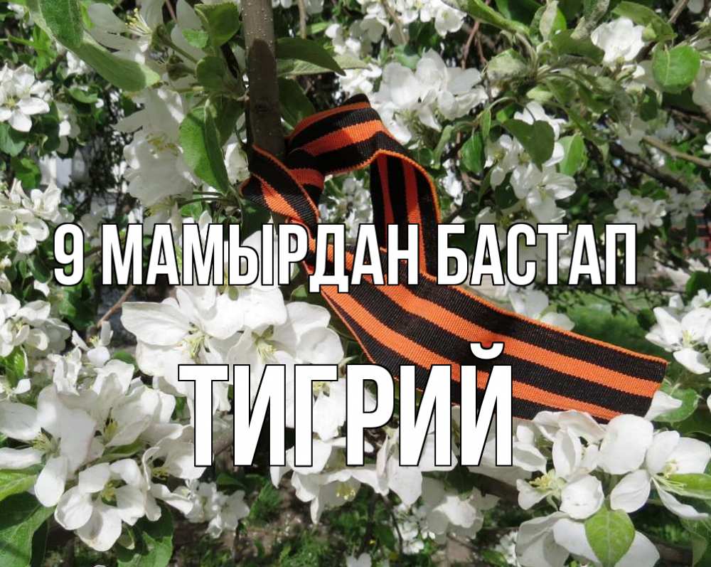 Күн сайын ашық хат с именем, Тигрий 9 мамырдан бастап 9 мая Онлайн тегін жүктеп алу тілектері бар керемет карта 