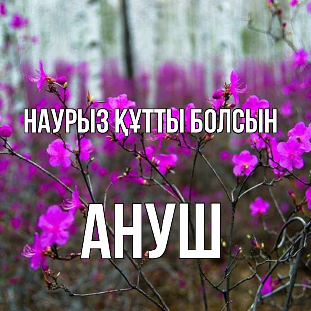 Күн сайын ашық хат с именем, Ануш Наурыз құтты болсын дикие цветы Онлайн тегін жүктеп алу тілектері бар керемет карта 